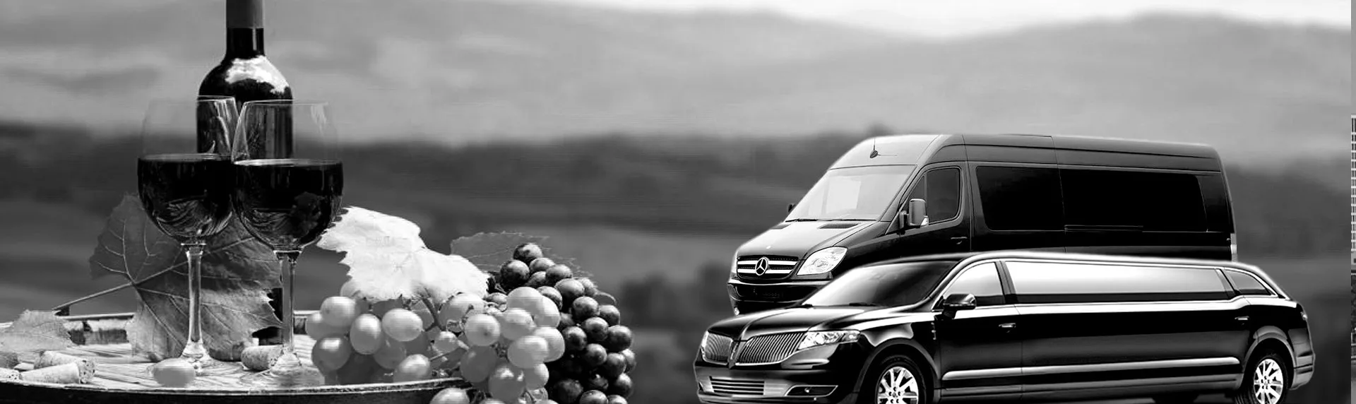 Exploring Western New York Wine Trails in Comfort and Style