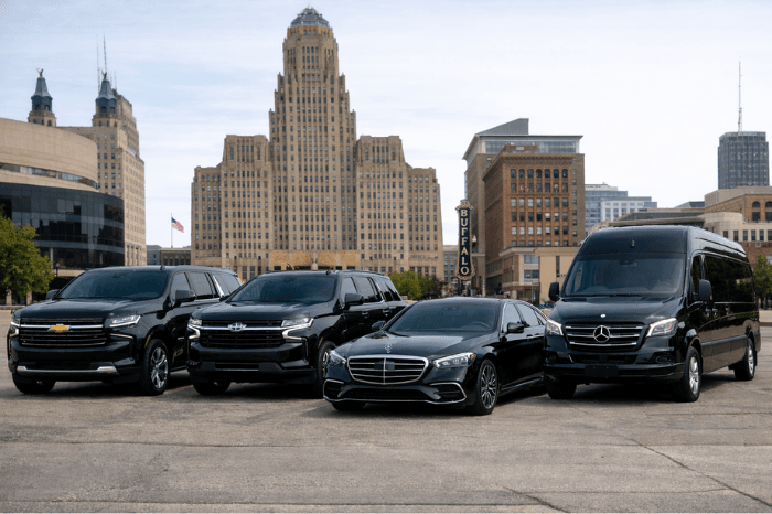 Luxury vehicles parked in downtown Buffalo